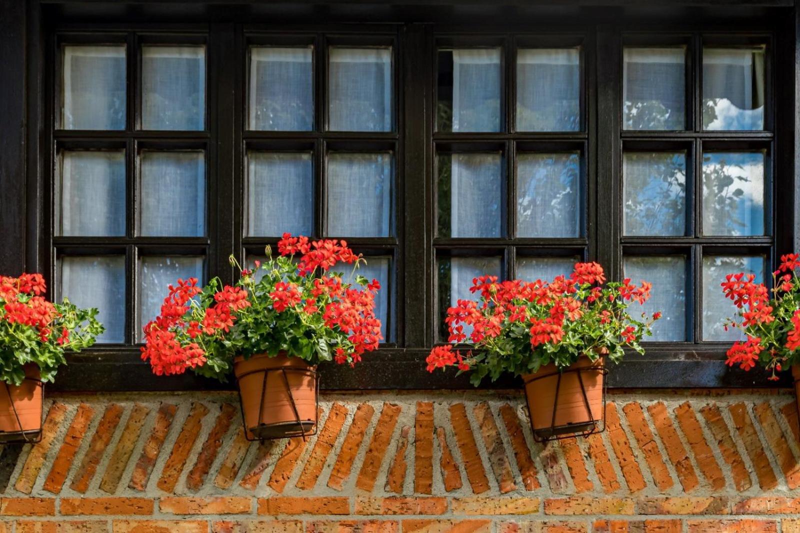 La Posada De Langre ラングレ エクステリア 写真